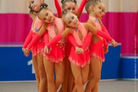 © ВФЭГ (RFAG)