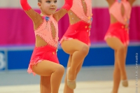 © ВФЭГ (RFAG)