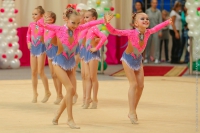 © ВФЭГ (RFAG)