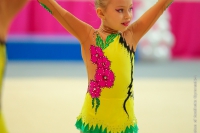 © ВФЭГ (RFAG)