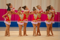 © ВФЭГ (RFAG)