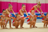 © ВФЭГ (RFAG)