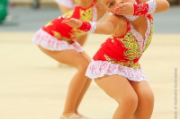 © ВФЭГ (RFAG)