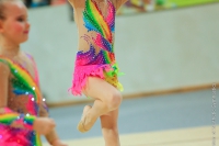 © ВФЭГ (RFAG)
