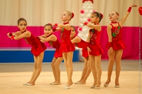 © ВФЭГ (RFAG)