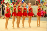 © ВФЭГ (RFAG)