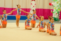 © ВФЭГ (RFAG)