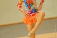© ВФЭГ (RFAG)