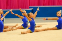 © ВФЭГ (RFAG)