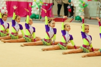 © ВФЭГ (RFAG)