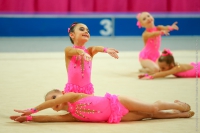 © ВФЭГ (RFAG)