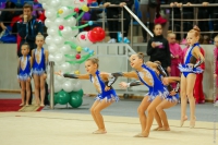 © ВФЭГ (RFAG)