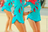 © ВФЭГ (RFAG)