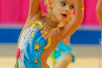 © ВФЭГ (RFAG)