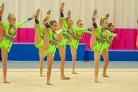© ВФЭГ (RFAG)