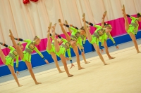 © ВФЭГ (RFAG)