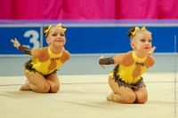 © ВФЭГ (RFAG)