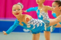© ВФЭГ (RFAG)