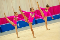 © ВФЭГ (RFAG)