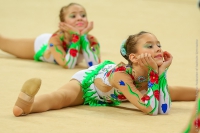 © ВФЭГ (RFAG)