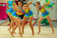 © ВФЭГ (RFAG)