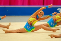 © ВФЭГ (RFAG)