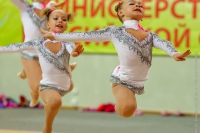 © ВФЭГ (RFAG)