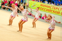 © ВФЭГ (RFAG)