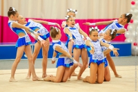 © ВФЭГ (RFAG)