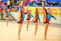 © ВФЭГ (RFAG)
