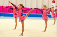 © ВФЭГ (RFAG)