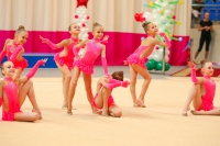 © ВФЭГ (RFAG)