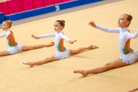 © ВФЭГ (RFAG)