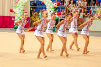 © ВФЭГ (RFAG)