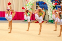 © ВФЭГ (RFAG)
