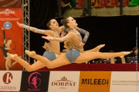 © ВФЭГ (RFAG)