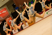 © ВФЭГ (RFAG)