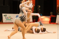 © ВФЭГ (RFAG)