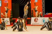 © ВФЭГ (RFAG)