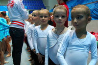 © ВФЭГ (RFAG)