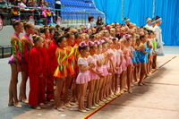 © ВФЭГ (RFAG)