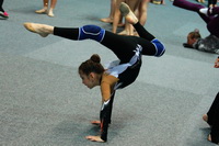© ВФЭГ (RFAG)