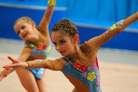 © ВФЭГ (RFAG)