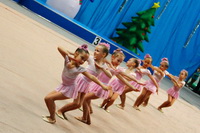 © ВФЭГ (RFAG)