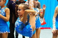 © ВФЭГ (RFAG)