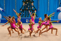 © ВФЭГ (RFAG)
