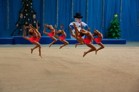 © ВФЭГ (RFAG)