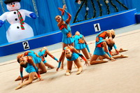 © ВФЭГ (RFAG)