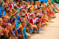 © ВФЭГ (RFAG)