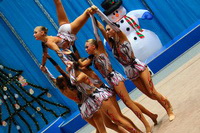 © ВФЭГ (RFAG)
